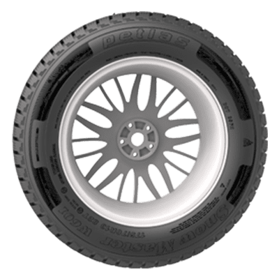 Passenger Car Tyres | W601 | Winter Tires | Petlas Truck Of Trust