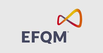 MODELLO DI ECCELLENZA EFQM