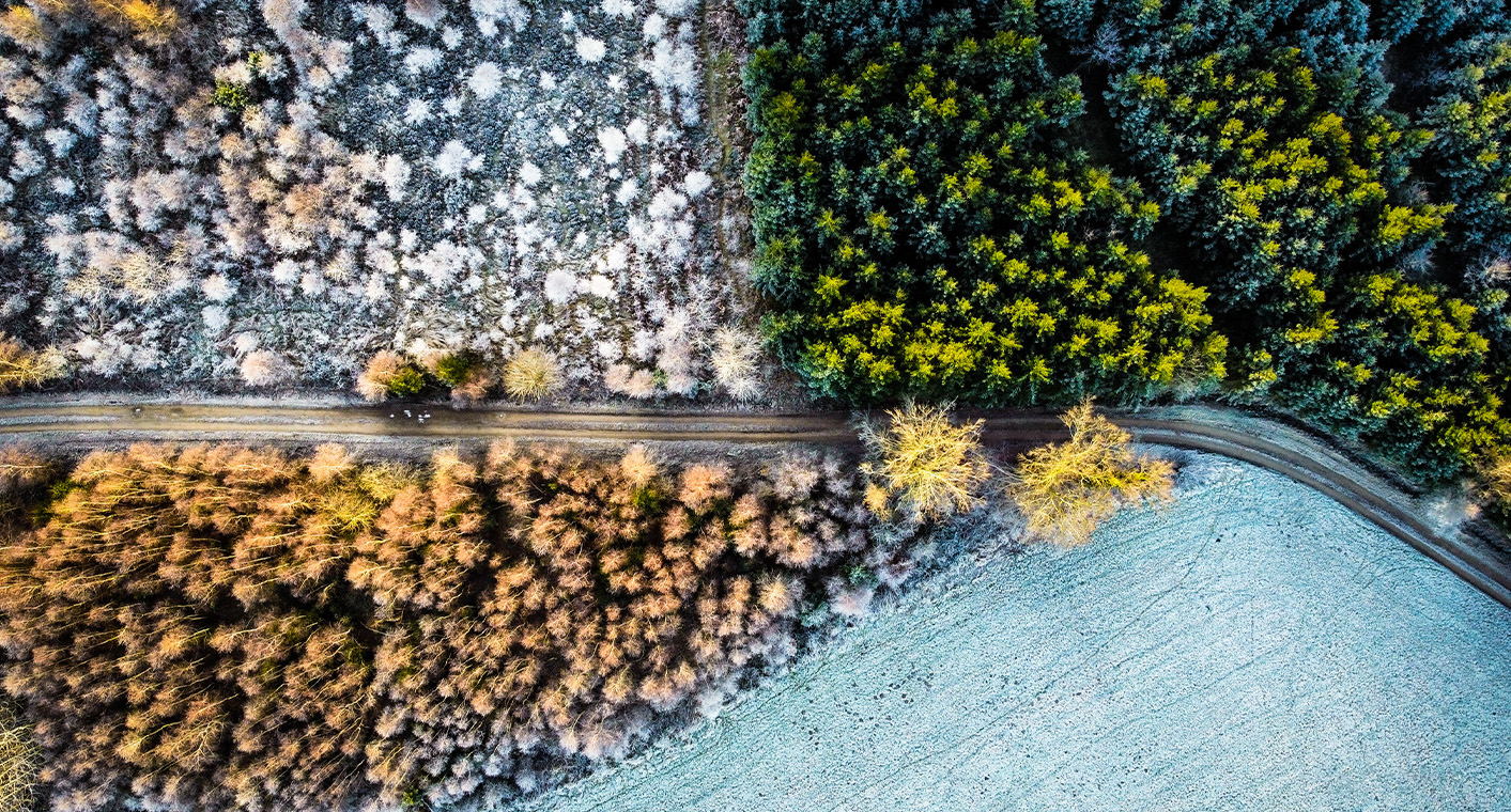 Joy In Every Season With All-Season Tires