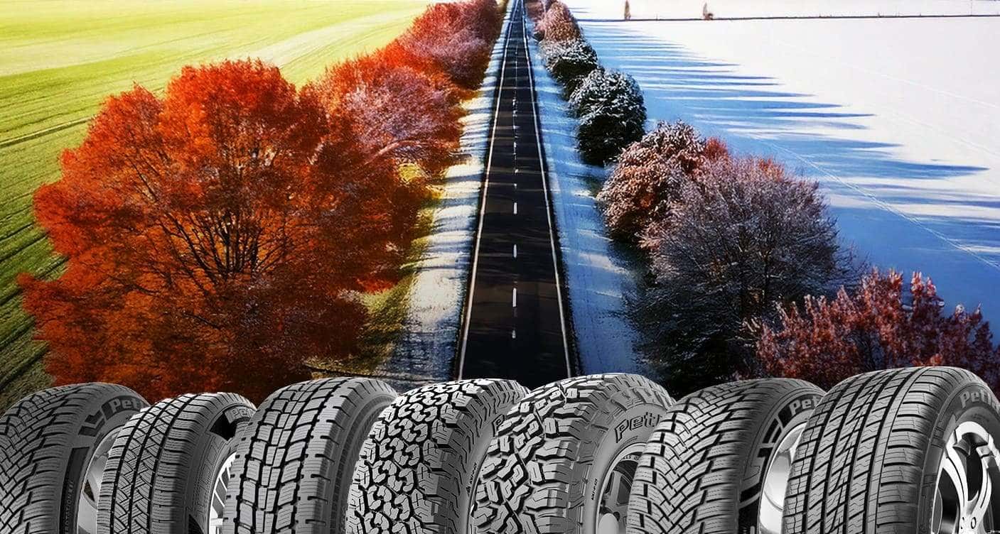 Do All-Season Tires Provide Good Performance?  | Petlas