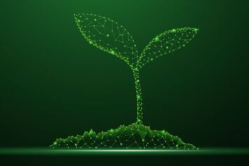 fieldtekno-fidan-resmi